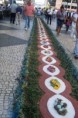 /album/tapetes%20de%20flores%20n%c2%aa%20sr%c2%aa%20d%27ajuda%202010/rua-19-a-512x768-jpg/